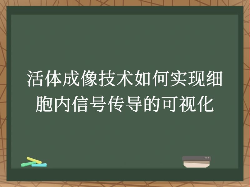 活体成像技术如何实现细胞内信号传导的可视化